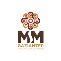 msm-logo