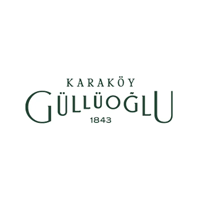 gulluoglu